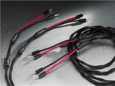 Kappa Loudspeaker connection 喇叭線（3M)