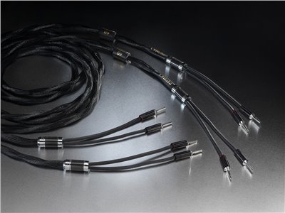 Celesta Loudspeaker connection 喇叭線（3M)