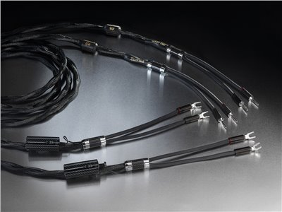 Eterna Loudspeaker connection 喇叭線（3M)