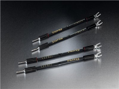 Eterna Jumper 喇叭跳線（0.2M)