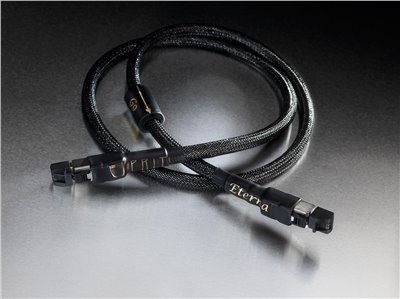  Eterna RJ45 網路線（1.2M)