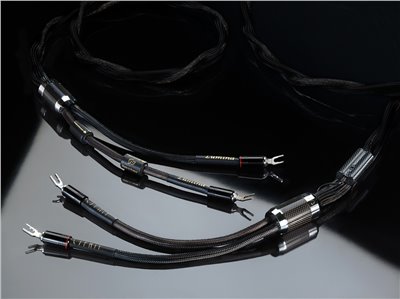 Lumina Loudspeaker connection 喇叭線（3M)