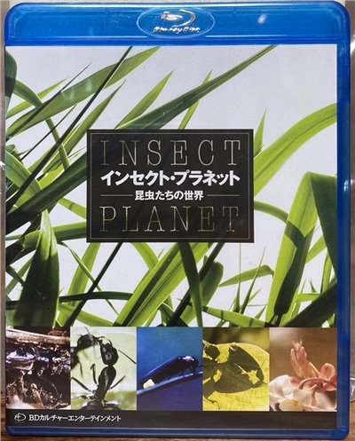 Insect Planet インセクト．プラネット　昆虫たちの世界  (BD)