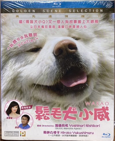 鬆毛犬小威 (BD)
